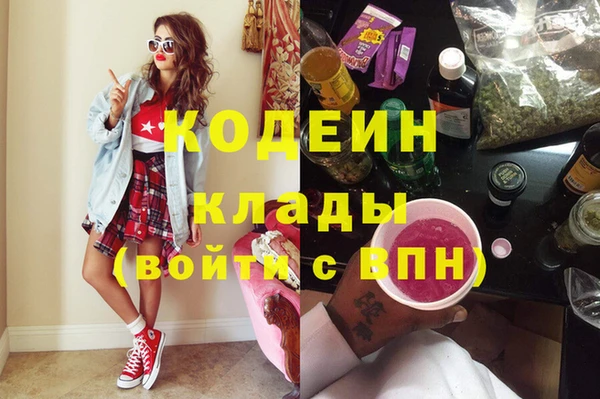 хмурый Алексин