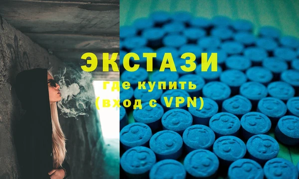 хмурый Алексин
