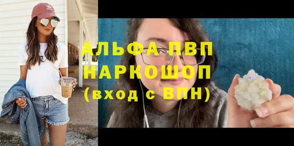 хмурый Алексин