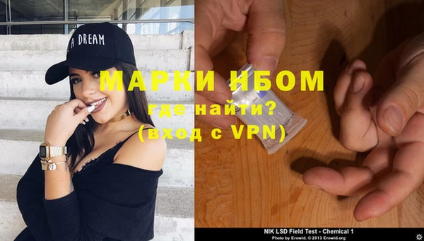 хмурый Алексин