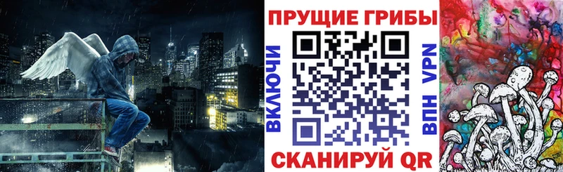 наркота  omg сайт  Псилоцибиновые грибы Magic Shrooms  Ипатово 